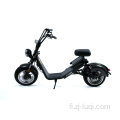 Fat Tire Adult Lion Electric Scooter